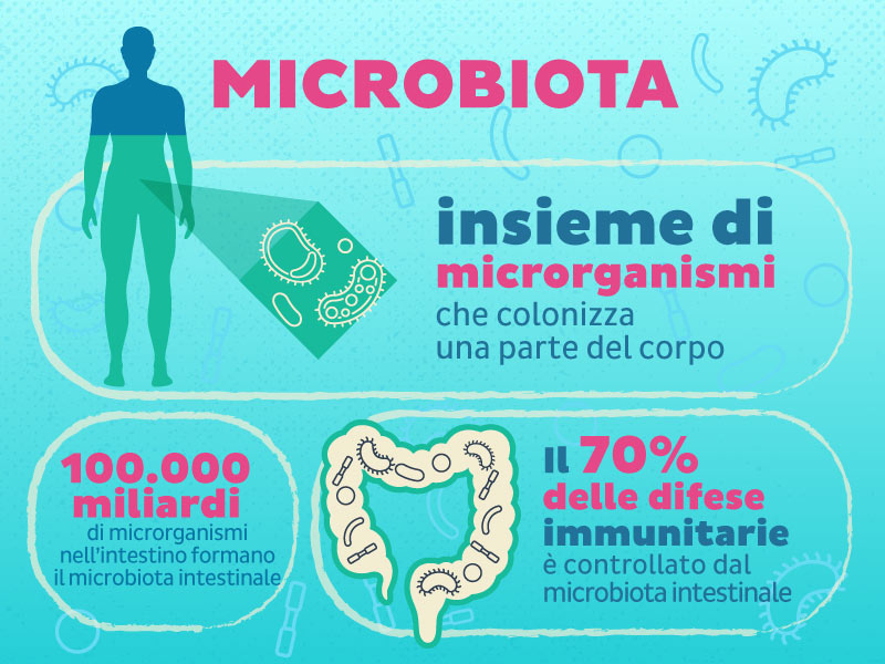 1 speciale microbiota
